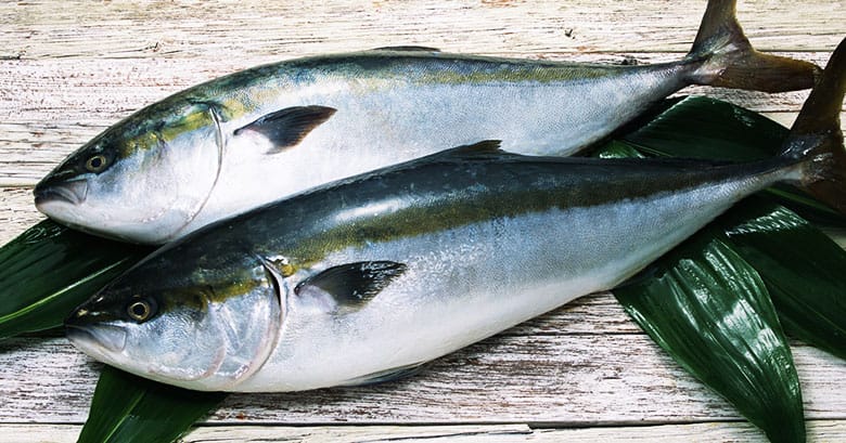 五島列島･金太郎ぶりを通販お取り寄せ