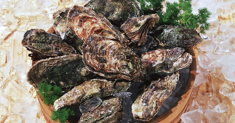 ジャンボ広島かきを通販お取り寄せ